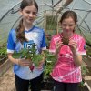 Green School Eco Club